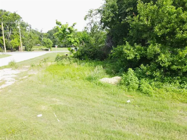 Terrell, TX 75160,1008 S Virginia Avenue