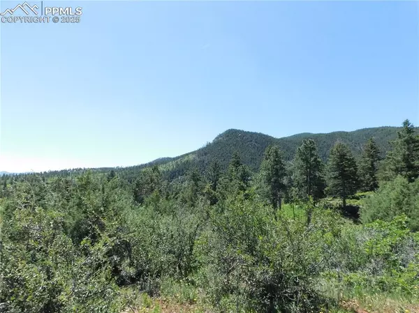 Larkspur, CO 80118,5900 Pawnee RD