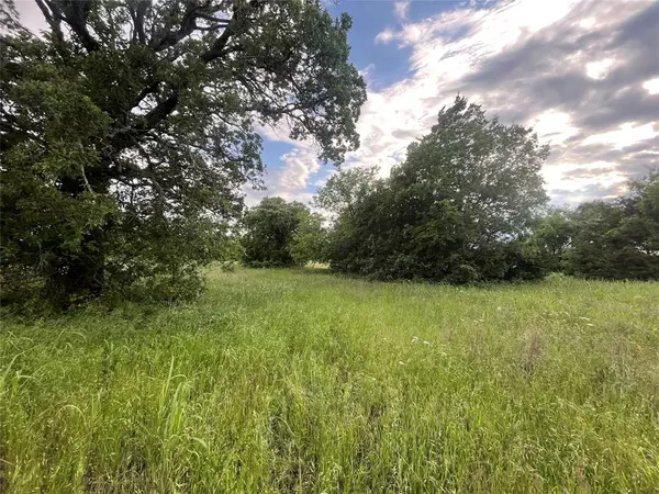 Bowie, TX 76230,Tract 1 Fm 3043