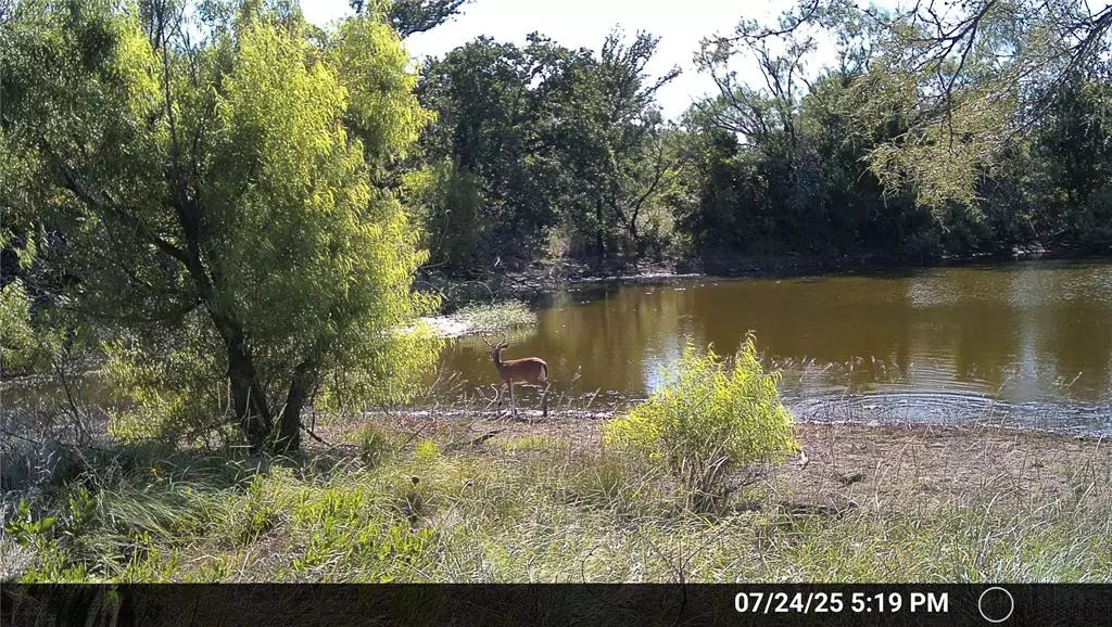 Breckenridge, TX 76424,N/A Wayland Ranches
