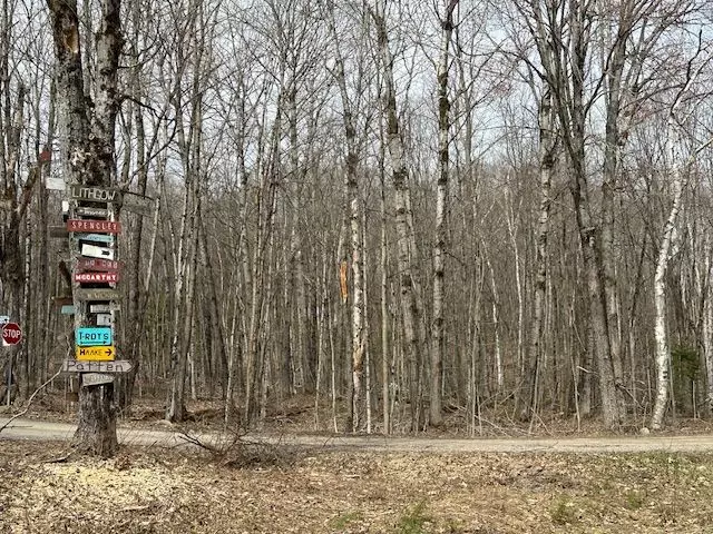 Minden Hills, ON K0M 2K0,Lot Silverwood RD