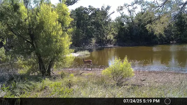 Breckenridge, TX 76424,N/A Wayland Ranches