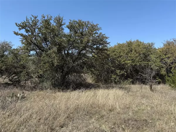 Breckenridge, TX 76424,N/A Wayland Ranches