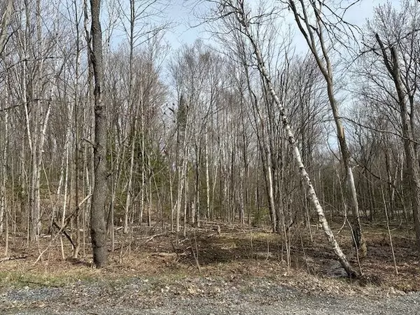 Minden Hills, ON K0M 2K0,Lot Silverwood RD