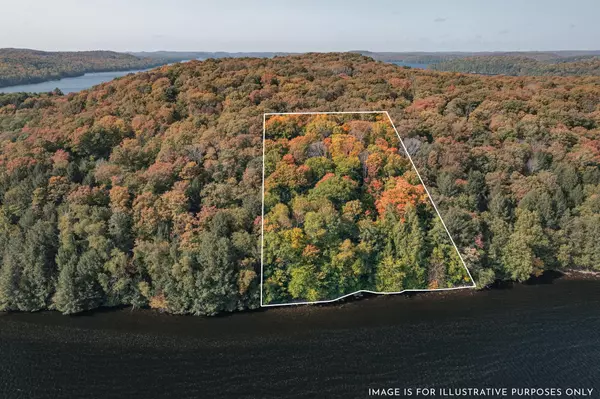 Dysart Et Al, ON P0A 1E0,0 Bear IS