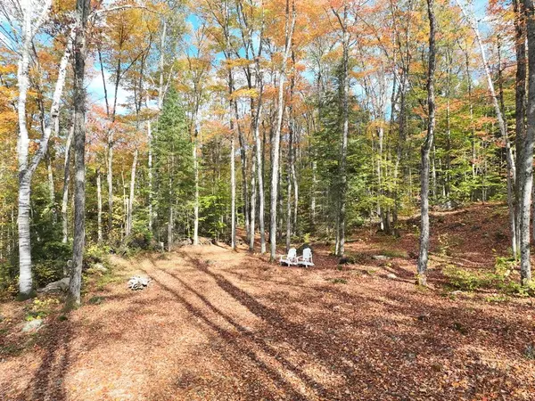 Algonquin Highlands, ON P0A 1E0,4488 Kawagama Lake RD