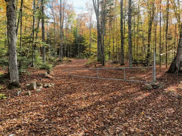 Algonquin Highlands, ON P0A 1E0,4488 Kawagama Lake RD