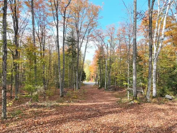 Algonquin Highlands, ON P0A 1E0,4488 Kawagama Lake RD