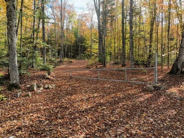 4488 Kawagama Lake RD, Algonquin Highlands, ON P0A 1E0