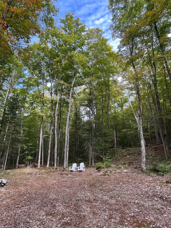 4488 Kawagama Lake RD, Algonquin Highlands, ON P0A 1E0