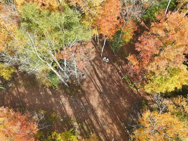 4488 Kawagama Lake RD, Algonquin Highlands, ON P0A 1E0