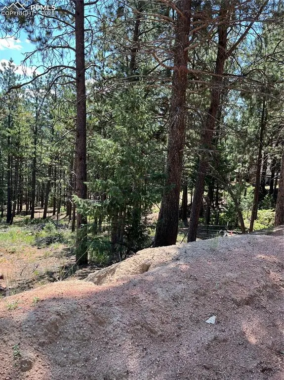 193 Summer Haven DR, Woodland Park, CO 80863