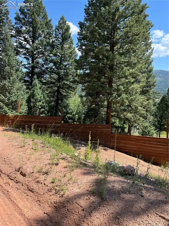 193 Summer Haven DR, Woodland Park, CO 80863