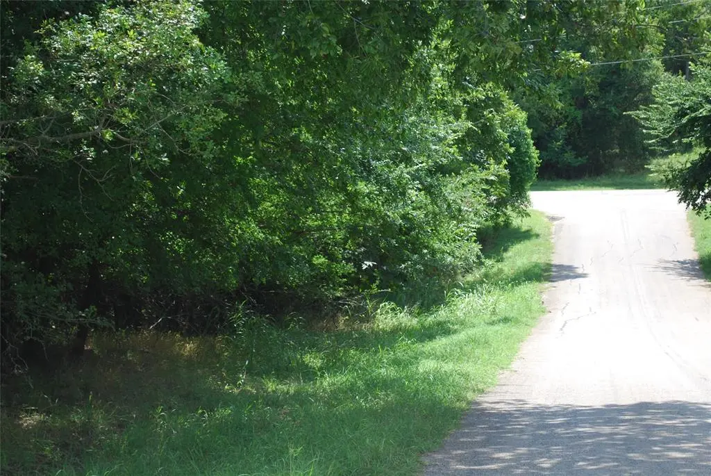 Whitney, TX 76692,15013 Golf Drive