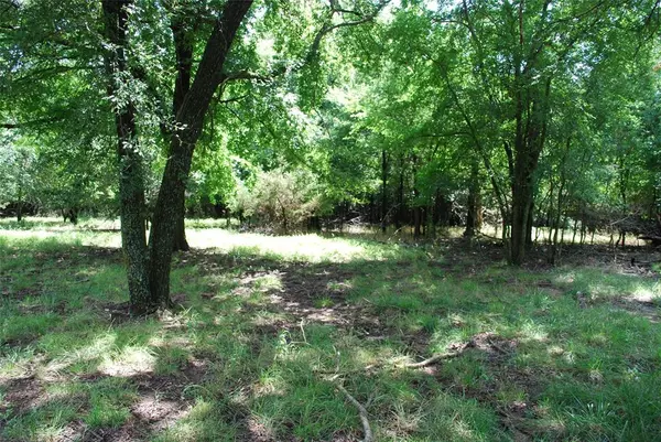 Whitney, TX 76692,15013 Golf Drive