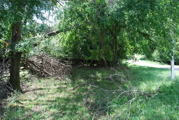 Whitney, TX 76692,15013 Golf Drive