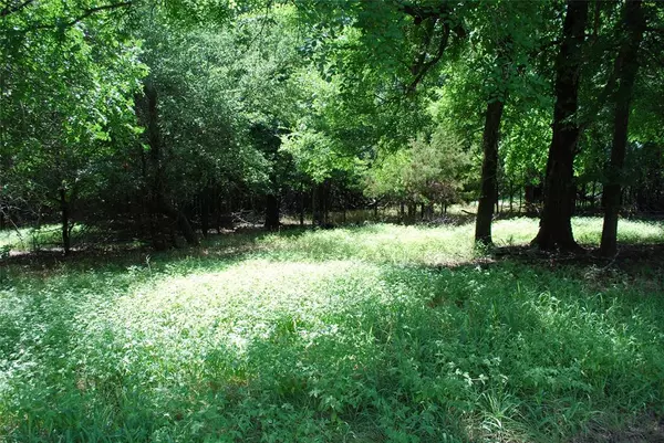 Whitney, TX 76692,15013 Golf Drive