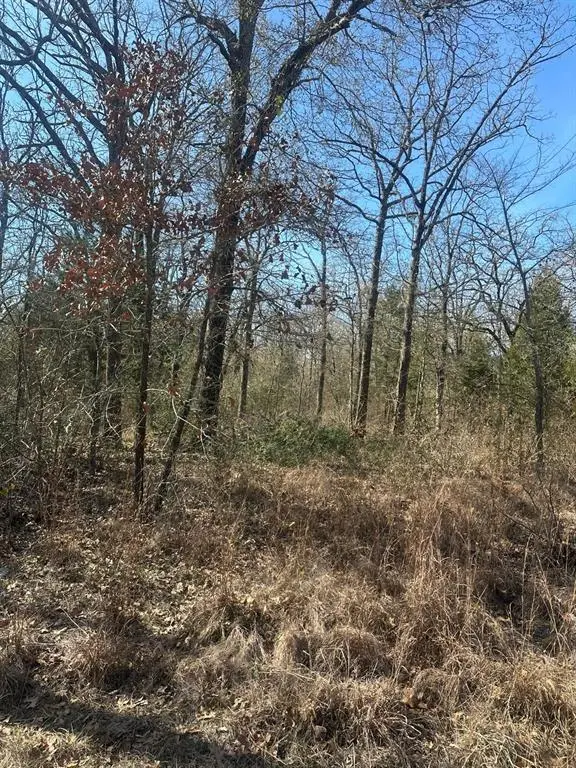 Mabank, TX 75156,6149 Indian Harbor Drive