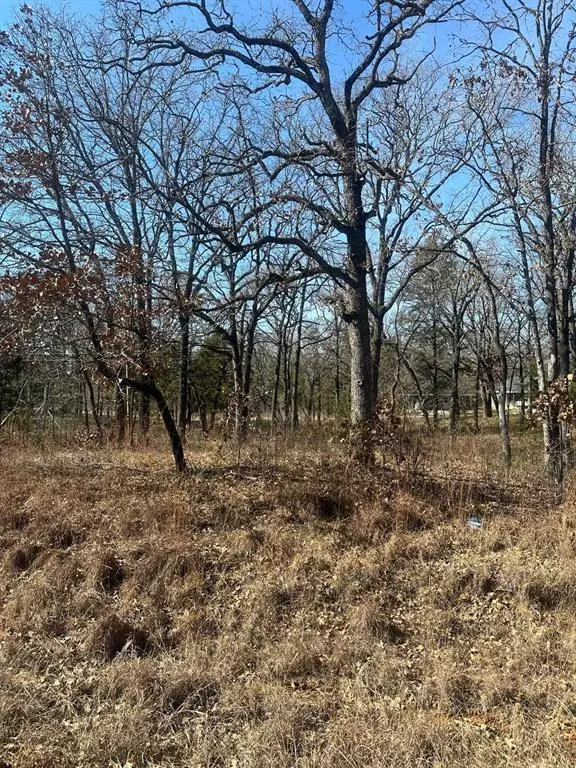 Mabank, TX 75156,155 Spearman Street