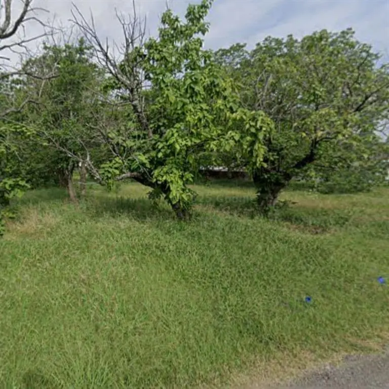 Celeste, TX 75423,TBD 3rd Street