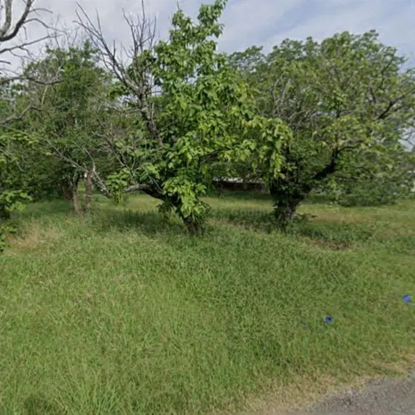 Celeste, TX 75423,TBD 3rd Street