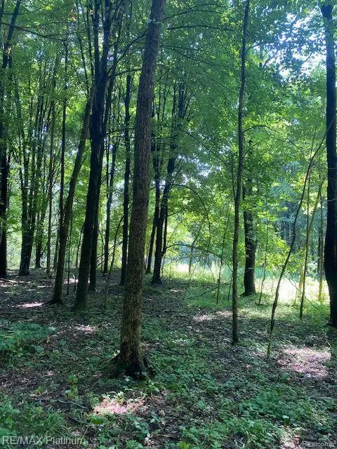 Howell, MI 48843,3 Sleaford-Parcel 3-3.17 Acres RD