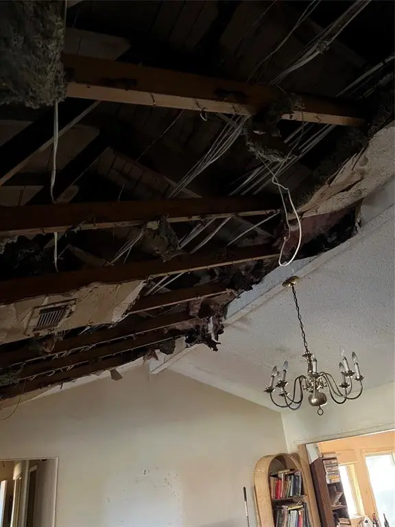 Richardson, TX 75081,1208 Berkeley Drive