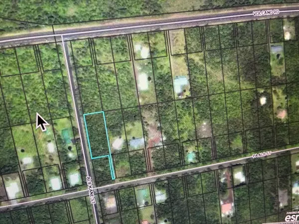 Volcano, HI 96785,PA ALII RD