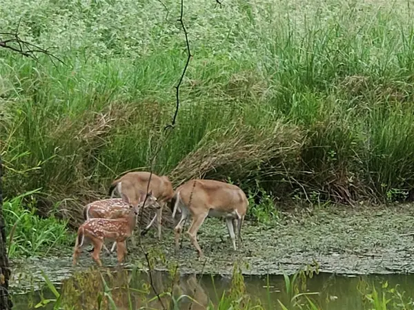 Lot 6 PR 5980, Yantis, TX 75497