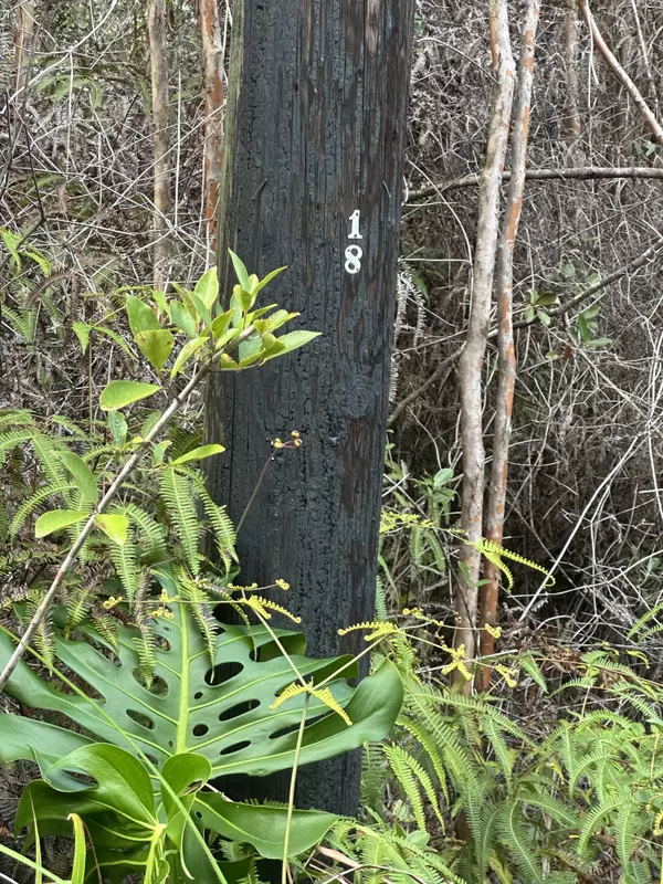 Kurtistown, HI 96760,ROAD 3 (HOPUE)