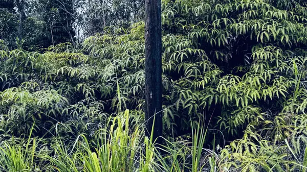 Kurtistown, HI 96760,ROAD 3 (HOPUE)