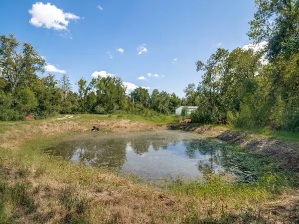 Terrell, TX 75161,7064 County Road 131a