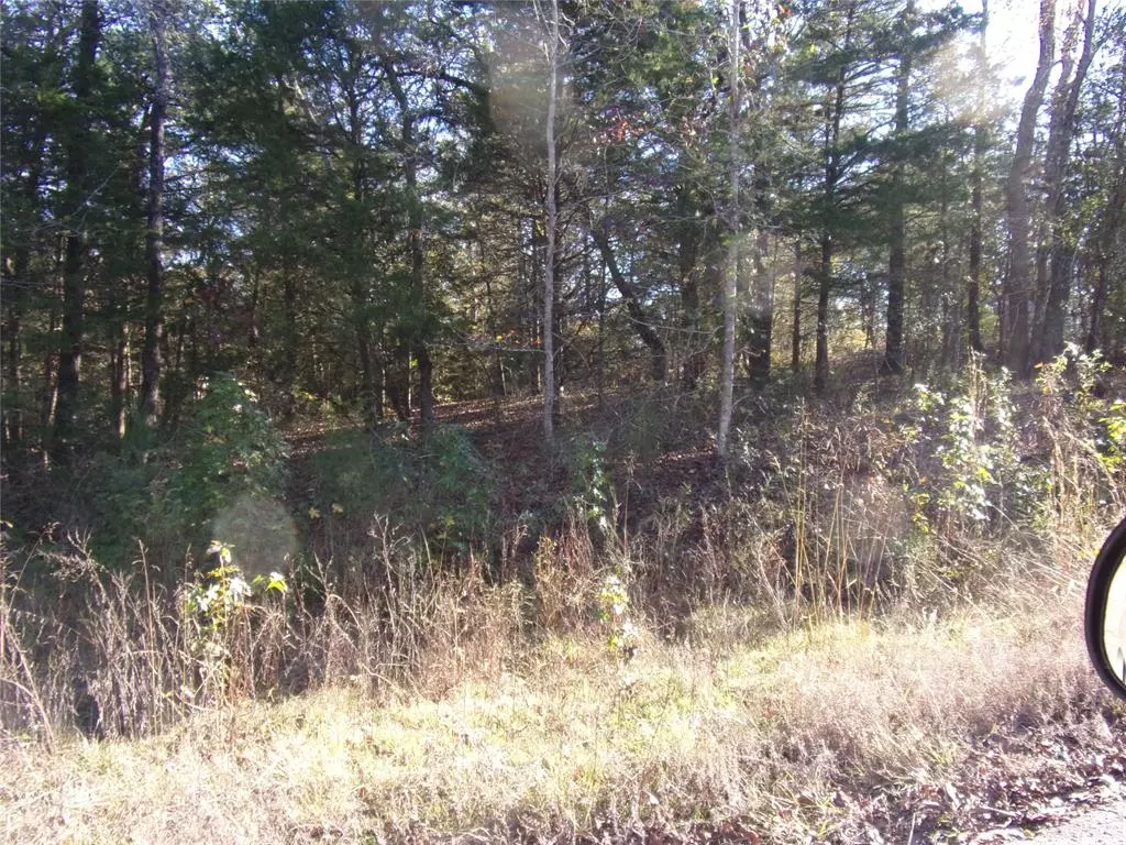 Murchison, TX 75778,000 Woodcreek Drive