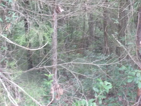 Murchison, TX 75778,tbd Holly Glen