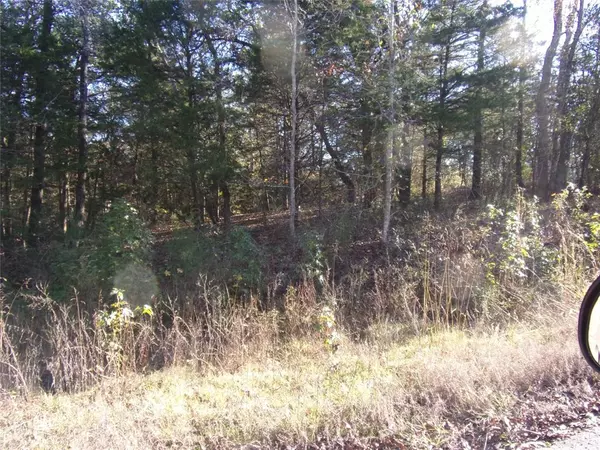 Murchison, TX 75778,000 Woodcreek Drive