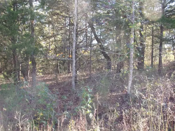 Murchison, TX 75778,000 Woodcreek Drive