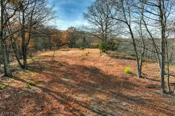 Stillwater Twp., NJ 07860,0 No Brook Lake Tr