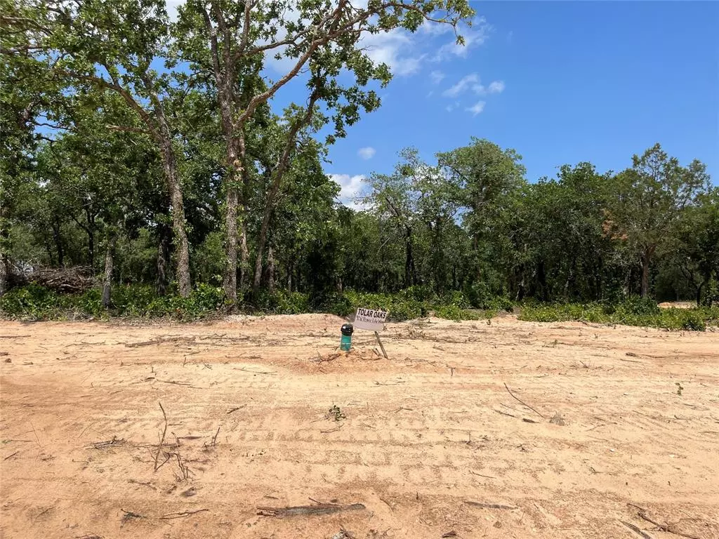 Tolar, TX 76476,452 Peace Lily Way