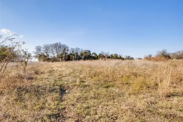 Blue Ridge, TX 75424,15602 State Highway 160