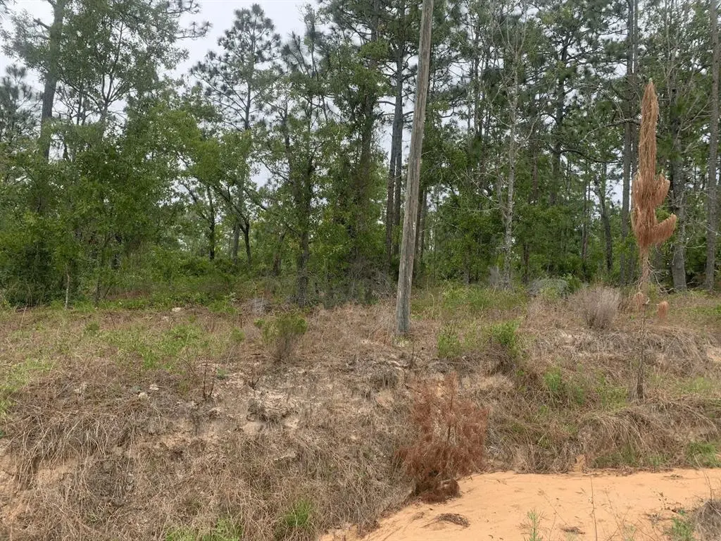 Interlachen, FL 32148,0 Akron St