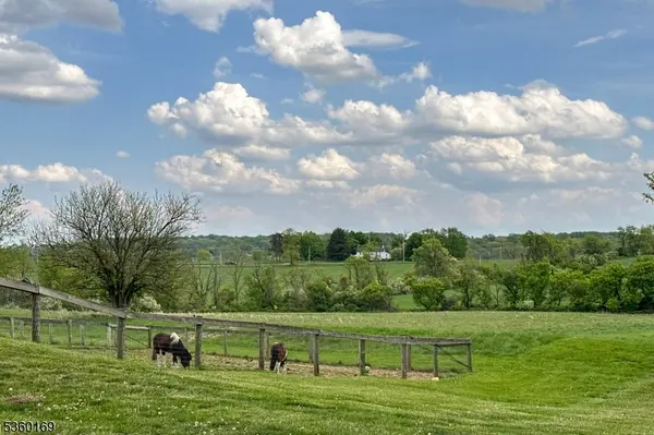 760 Rosemont Ringoes Rd, Delaware Twp., NJ 08559