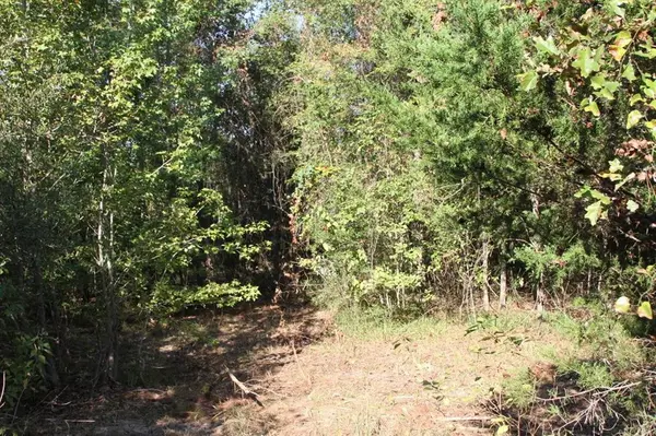 Tyler, TX 75705,19963 State Highway 31 E