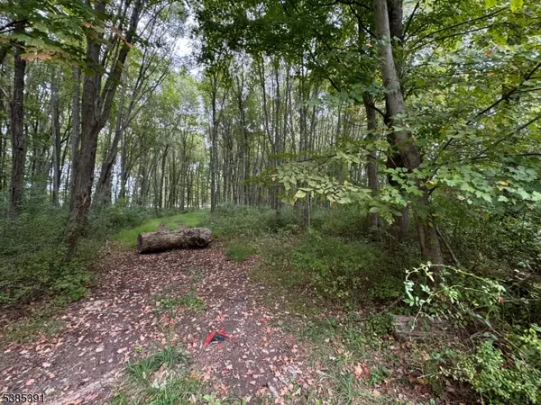 Washington Twp., NJ 07930,000 S 4Bridges Rd