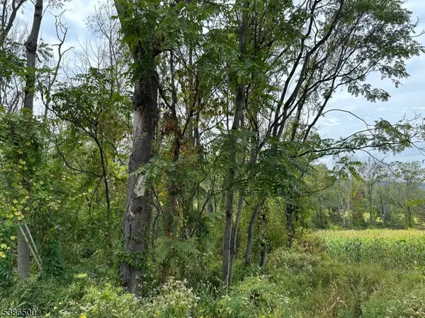 393 Mountain Lake Rd, Liberty Twp., NJ 07838