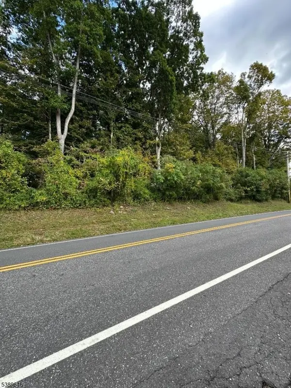 Hampton Boro, NJ 08827,218 State Route 31