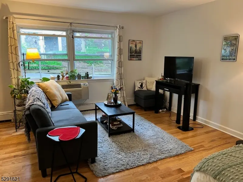 Morristown Town, NJ 07960,48-50 Elm St #A-6