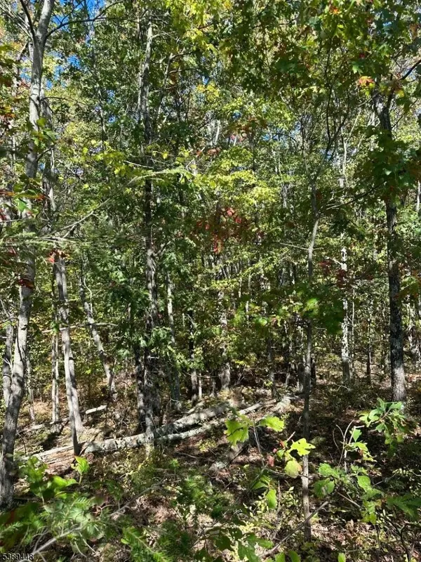 Frankford Twp., NJ 07860,17 17 West Owassa Tnpk