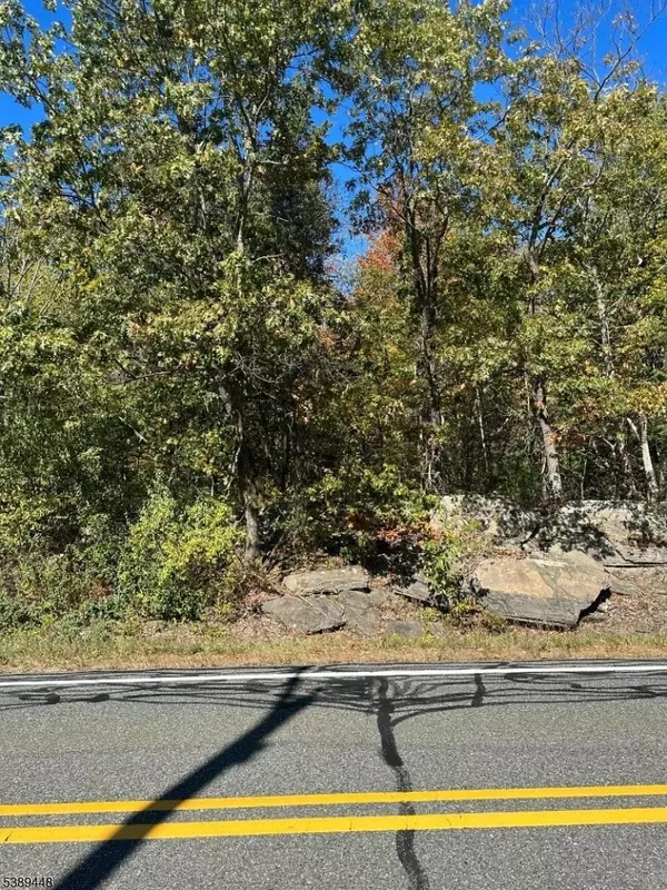 Frankford Twp., NJ 07860,17 17 West Owassa Tnpk