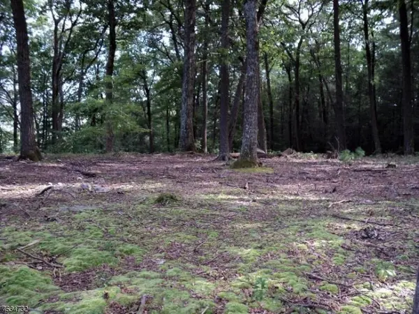 West Milford Twp., NJ 07480,0 Shady Lane