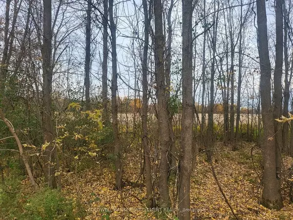 Lot 5 Bush RD, Rideau Lakes, ON K0G 1E0